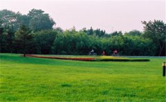 網(wǎng)絡(luò)化空氣監(jiān)測站監(jiān)測哪些參數(shù)？