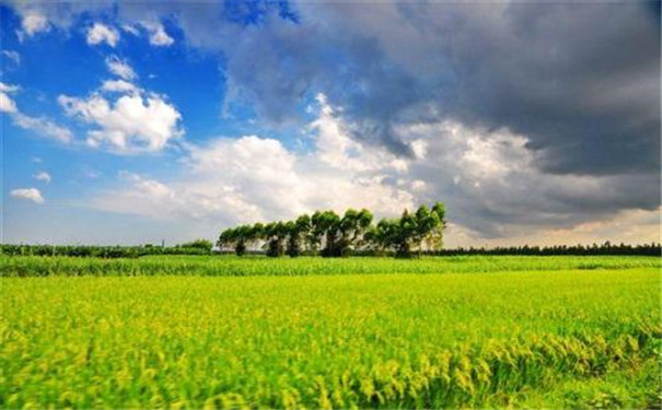 土壤墑情檢測(cè)儀