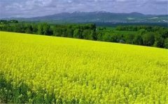 怎么用空氣負(fù)氧離子監(jiān)測系統(tǒng)？